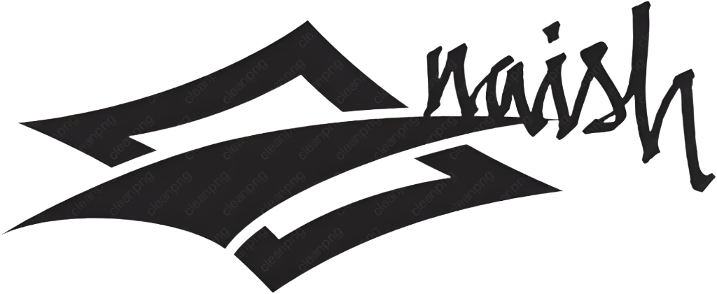 Black 'Naish' logo on a transparent background